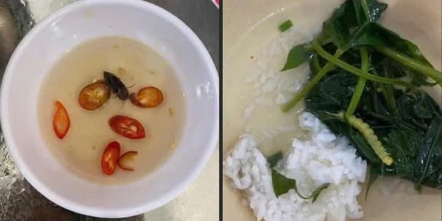 Sở Y tế TP Huế thông tin kết quả xác minh phản ánh 'canh rau có sâu'- Ảnh 1. Sở Y tế TP Huế thông tin kết quả xác minh phản ánh 'canh rau có sâu'- Ảnh 1.