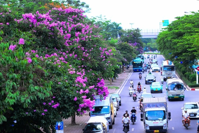 Nắng nóng gia tăng mạnh, miền Bắc và Trung Bộ có nơi vượt 38 độ C- Ảnh 1.