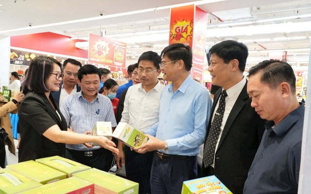 Nghệ An lập tổ liên ngành chống xâm phạm quyền sở hữu trí tuệ- Ảnh 1. Nghệ An lập tổ liên ngành chống xâm phạm quyền sở hữu trí tuệ- Ảnh 1.