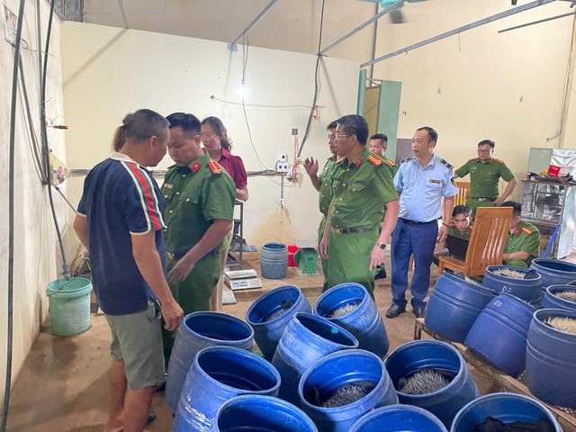 Phát hiện cơ sở sản xuất giá đỗ sử dụng chất cấm ở Hải Phòng- Ảnh 1. Phát hiện cơ sở sản xuất giá đỗ sử dụng chất cấm ở Hải Phòng- Ảnh 1.