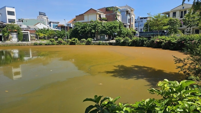 Mặt nước hồ Trái Tim ở Huế xuất hiện váng, đổi màu bất thường- Ảnh 3. Mặt nước hồ Trái Tim ở Huế xuất hiện váng, đổi màu bất thường- Ảnh 3.