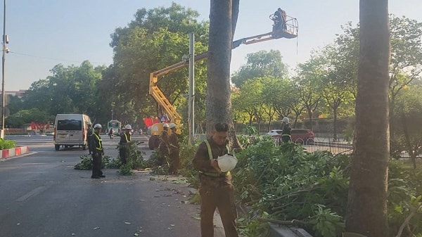 Hà Nội: Cắt sửa hơn 35.000 cây xanh trước mùa mưa bão- Ảnh 7.