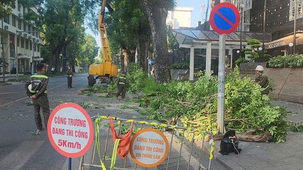 Hà Nội: Cắt sửa hơn 35.000 cây xanh trước mùa mưa bão- Ảnh 2.