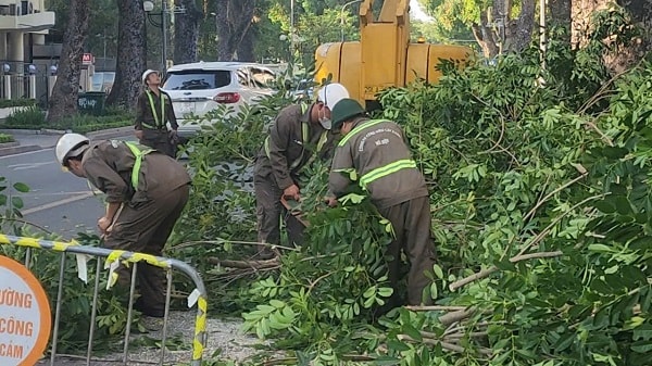 Hà Nội: Cắt sửa hơn 35.000 cây xanh trước mùa mưa bão- Ảnh 6.