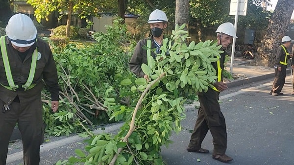 Hà Nội: Cắt sửa hơn 35.000 cây xanh trước mùa mưa bão- Ảnh 8.