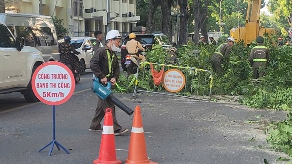 Hà Nội: Cắt sửa hơn 35.000 cây xanh trước mùa mưa bão- Ảnh 5.