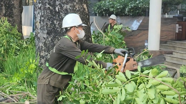 Hà Nội: Cắt sửa hơn 35.000 cây xanh trước mùa mưa bão- Ảnh 4.
