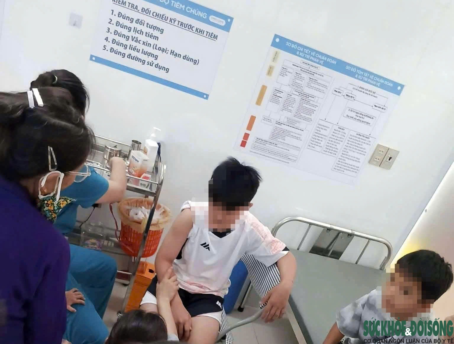 Nỗi ám ảnh mang tên chó thả rông- Ảnh 2.