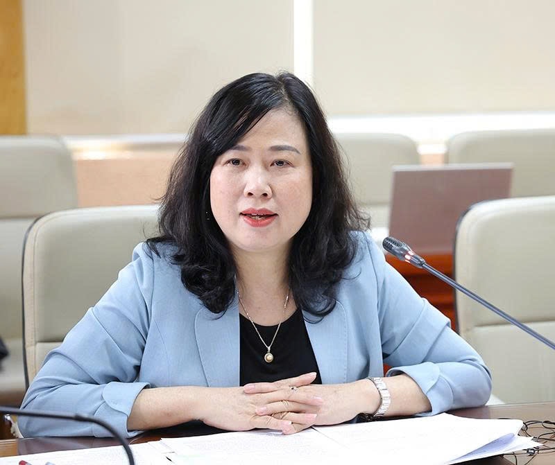 Bộ trưởng Bộ Y tế Đào Hồng Lan tiếp, làm việc với Lãnh đạo cấp cao Tập đoàn Hetero Labs Limited, Ấn Độ- Ảnh 1.