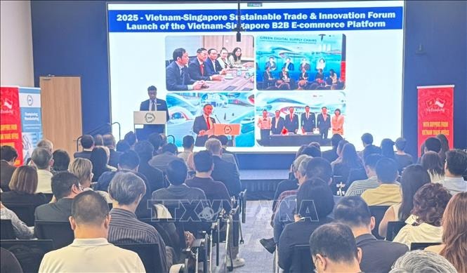Nâng tầm quan hệ Việt Nam - Singapore; khẳng định vị thế của Việt Nam với thế giới- Ảnh 5. Nâng tầm quan hệ Việt Nam - Singapore; khẳng định vị thế của Việt Nam với thế giới- Ảnh 5.
