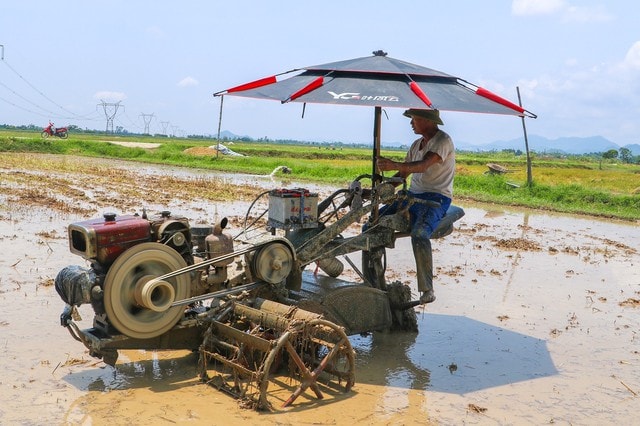 Chủ động phòng tránh say nắng, sốc nhiệt mùa nắng nóng- Ảnh 2.