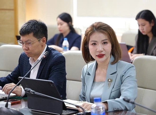 Bộ trưởng Bộ Y tế Đào Hồng Lan tiếp, làm việc với Lãnh đạo cấp cao Tập đoàn Hetero Labs Limited, Ấn Độ- Ảnh 6.