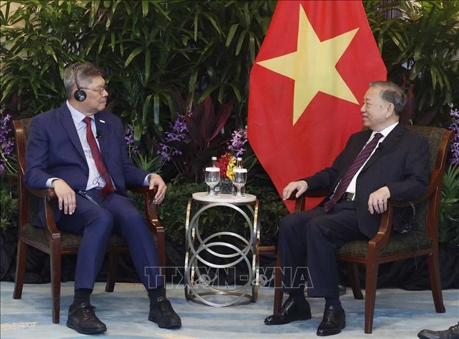 Tổng Bí thư, Chủ tịch nước Tô Lâm tiếp lãnh đạo các doanh nghiệp và tổ chức tài chính lớn của Singapore- Ảnh 6.
