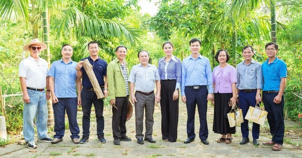 Kết quả tuyển chọn thực hiện đề tài 'Nghiên cứu xây dựng quy trình công nghệ chiết xuất hoạt chất sinh học sản xuất mỹ phẩm từ dược liệu bản địa Organic trên địa bàn tỉnh Nghệ An'