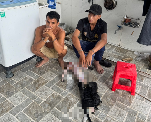 Săn 9 cá thể voọc bạc Đông Dương quý hiếm, 5 đối tượng bị tạm giữ hình sự- Ảnh 1. Săn 9 cá thể voọc bạc Đông Dương quý hiếm, 5 đối tượng bị tạm giữ hình sự- Ảnh 1.