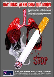 Cảnh báo: Xu hướng trẻ hóa đối tượng nghiện nicotine đang diễn ra mạnh mẽ- Ảnh 2.