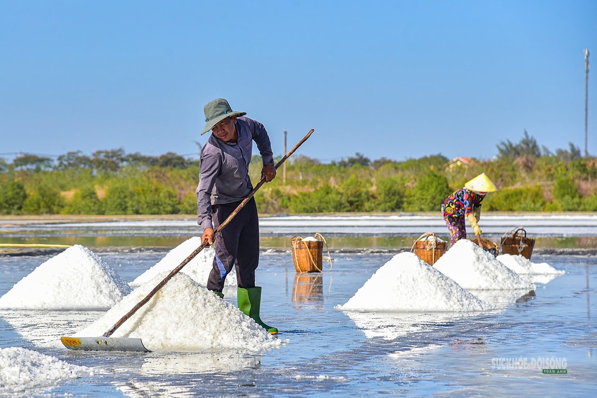 Nét đẹp trên cánh đồng muối Cần Giờ- Ảnh 3. Nét đẹp trên cánh đồng muối Cần Giờ- Ảnh 3.