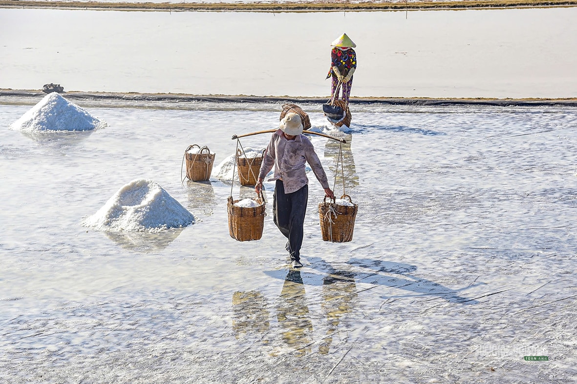 Nét đẹp trên cánh đồng muối Cần Giờ- Ảnh 4. Nét đẹp trên cánh đồng muối Cần Giờ- Ảnh 4.