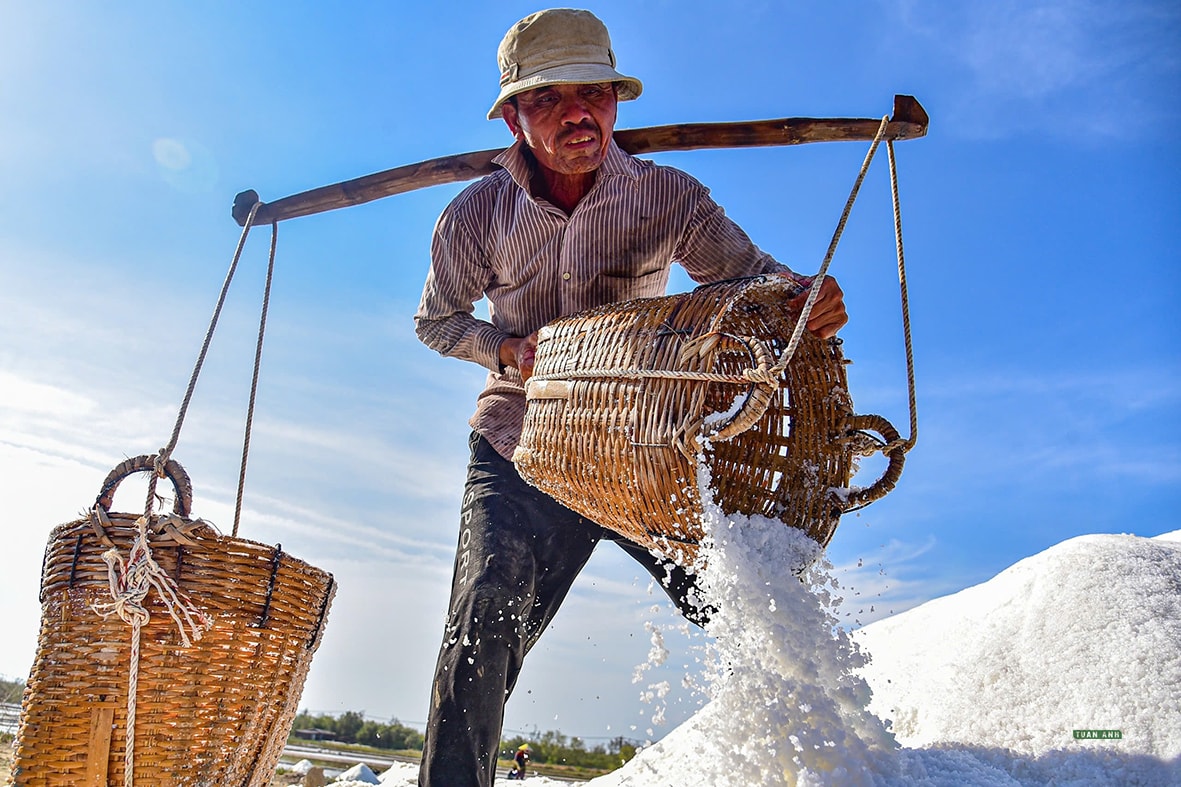 Nét đẹp trên cánh đồng muối Cần Giờ- Ảnh 1. Nét đẹp trên cánh đồng muối Cần Giờ- Ảnh 1.