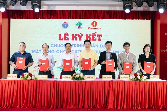 Khoảng 2 triệu người Việt mù lòa, chủ yếu do đục thủy tinh thể- Ảnh 2. Khoảng 2 triệu người Việt mù lòa, chủ yếu do đục thủy tinh thể- Ảnh 2.