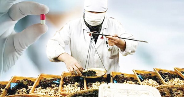 Thuốc y học cổ truyền mới chiếm hơn 5% chi BHYT, đề xuất mở rộng danh mục thanh toán- Ảnh 1. Thuốc y học cổ truyền mới chiếm hơn 5% chi BHYT, đề xuất mở rộng danh mục thanh toán- Ảnh 1.