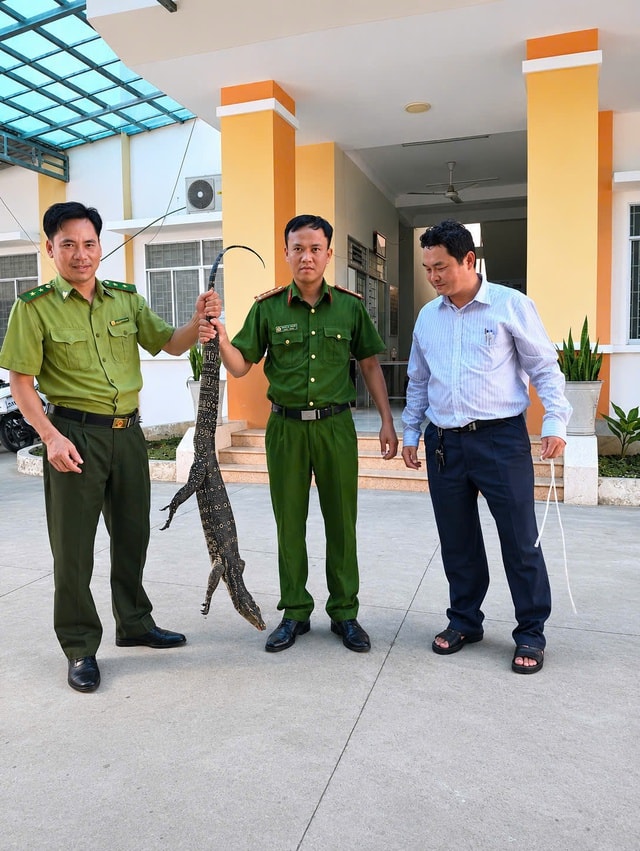 Phát hiện Kỳ đà hoa sau vườn, thanh niên ở Tây Ninh làm điều bất ngờ- Ảnh 2. Phát hiện Kỳ đà hoa sau vườn, thanh niên ở Tây Ninh làm điều bất ngờ- Ảnh 2.