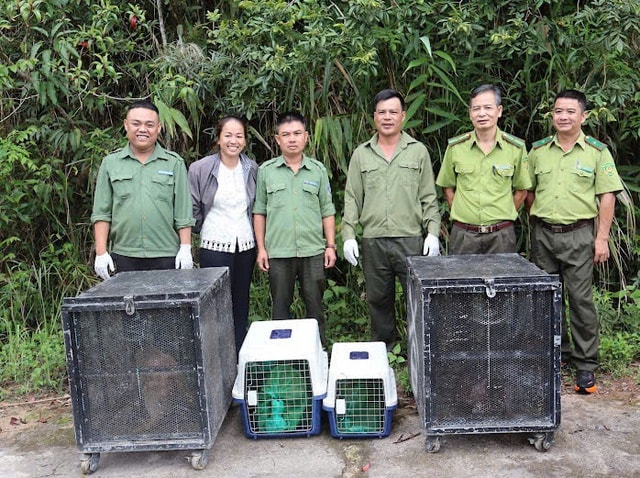Hình ảnh thú vị về động vật quý hiếm mới được thả về rừng ở Đắk Lắk- Ảnh 1. Hình ảnh thú vị về động vật quý hiếm mới được thả về rừng ở Đắk Lắk- Ảnh 1.
