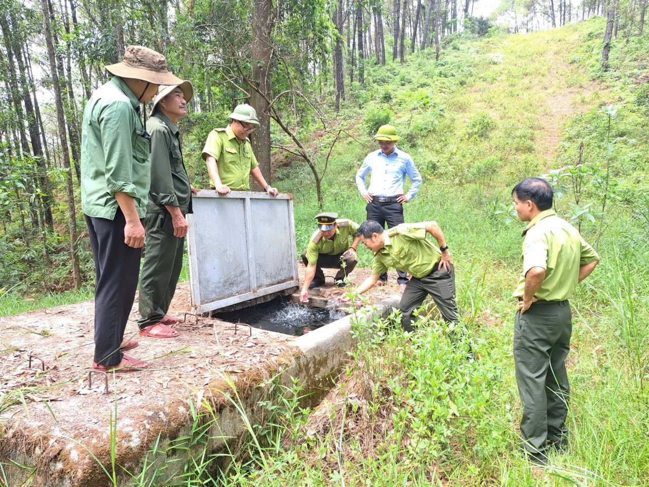 Nguy cơ cháy rừng gia tăng giữa cao điểm nắng nóng ở Huế- Ảnh 2. Nguy cơ cháy rừng gia tăng giữa cao điểm nắng nóng ở Huế- Ảnh 2.