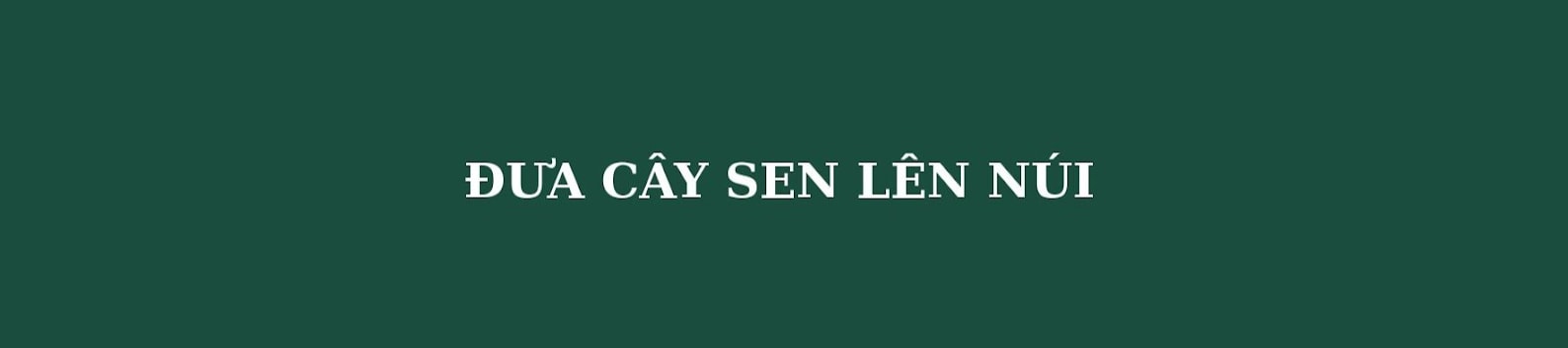 Đưa khoa học vào ruộng bậc thang, hành trình trồng sen trên núi của những ‘nhà khoa học nông dân’- Ảnh 1. Đưa khoa học vào ruộng bậc thang, hành trình trồng sen trên núi của những ‘nhà khoa học nông dân’- Ảnh 1.