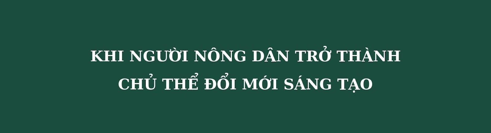 Đưa khoa học vào ruộng bậc thang, hành trình trồng sen trên núi của những ‘nhà khoa học nông dân’- Ảnh 6. Đưa khoa học vào ruộng bậc thang, hành trình trồng sen trên núi của những ‘nhà khoa học nông dân’- Ảnh 6.