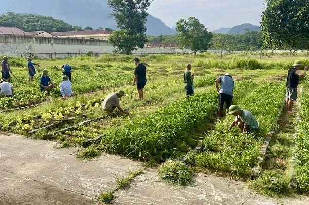 Khoảng trống sau điều trị và vai trò của phục hồi chức năng cho người bệnh tâm thần- Ảnh 1. Khoảng trống sau điều trị và vai trò của phục hồi chức năng cho người bệnh tâm thần- Ảnh 1.
