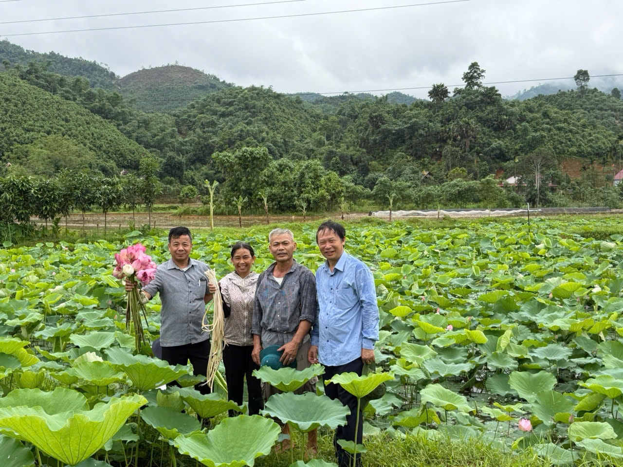 Đưa khoa học vào ruộng bậc thang, hành trình trồng sen trên núi của những ‘nhà khoa học nông dân’- Ảnh 4. Đưa khoa học vào ruộng bậc thang, hành trình trồng sen trên núi của những ‘nhà khoa học nông dân’- Ảnh 4.