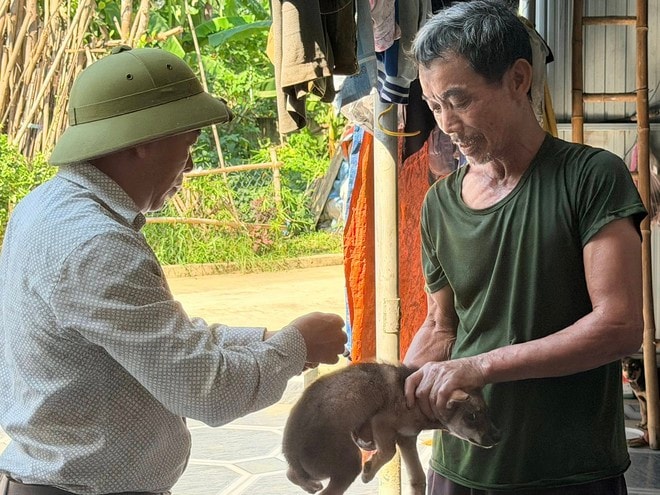 Nguy cơ bệnh dại gia tăng mùa nắng nóng, cần tiêm phòng ngay khi bị chó mèo cắn- Ảnh 3. Nguy cơ bệnh dại gia tăng mùa nắng nóng, cần tiêm phòng ngay khi bị chó mèo cắn- Ảnh 3.