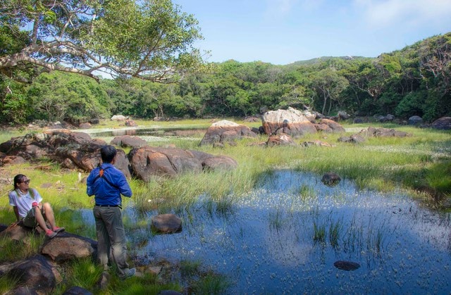 Tự ý tổ chức trekking ở Vườn quốc gia Núi Chúa - Phước Bình có thể bị xử lý- Ảnh 3. Tự ý tổ chức trekking ở Vườn quốc gia Núi Chúa - Phước Bình có thể bị xử lý- Ảnh 3.