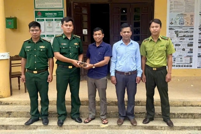 Phát hiện động vật quý hiếm, người dân ở Huế giao nộp bộ đội biên phòng- Ảnh 1. Phát hiện động vật quý hiếm, người dân ở Huế giao nộp bộ đội biên phòng- Ảnh 1.