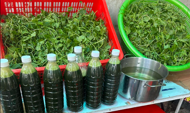 Nhiều người uống nước rau má, đậu đen cả ngày để giải nhiệt, chuyên gia cảnh báo- Ảnh 1. Nhiều người uống nước rau má, đậu đen cả ngày để giải nhiệt, chuyên gia cảnh báo- Ảnh 1.