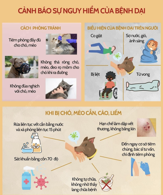 Đừng đánh cược mạng sống bằng thuốc nam khi bị chó cắn- Ảnh 5. Đừng đánh cược mạng sống bằng thuốc nam khi bị chó cắn- Ảnh 5.