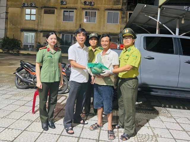 Nhặt chiếc túi giữa đường, người đàn ông bất ngờ phát hiện động vật quý hiếm- Ảnh 1.
