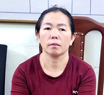Bắt 'nữ quái' ma túy trốn thi hành án bằng chiêu sinh liên tiếp 7 con- Ảnh 1.