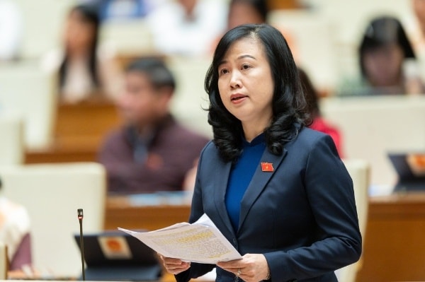 Bộ trưởng Đào Hồng Lan làm Chủ tịch Ủy ban Quốc gia về người khuyết tật- Ảnh 1. Bộ trưởng Đào Hồng Lan làm Chủ tịch Ủy ban Quốc gia về người khuyết tật- Ảnh 1.