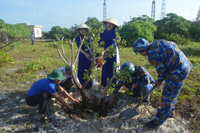 Thêm gần 183 nghìn cây trồng và 240 tấn phân bón để ‘Xanh hóa Trường Sa’ - Ảnh 3.