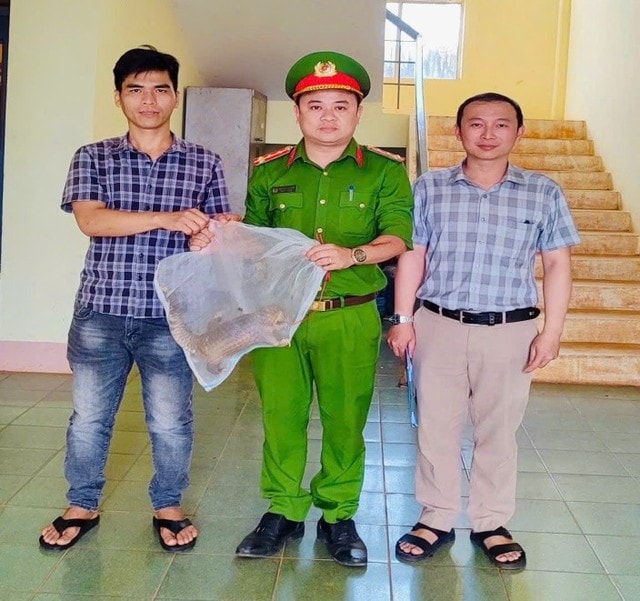 Hai động vật hoang dã nguy cấp, quý, hiếm được thả về môi trường tự nhiên - Ảnh 3. Hai động vật hoang dã nguy cấp, quý, hiếm được thả về môi trường tự nhiên - Ảnh 3.