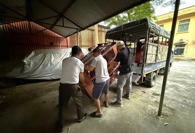 Chuyển giao cá thể gấu ngựa hơn 20 năm tuổi ở Thái Nguyên về trung tâm cứu hộ - Ảnh 1.