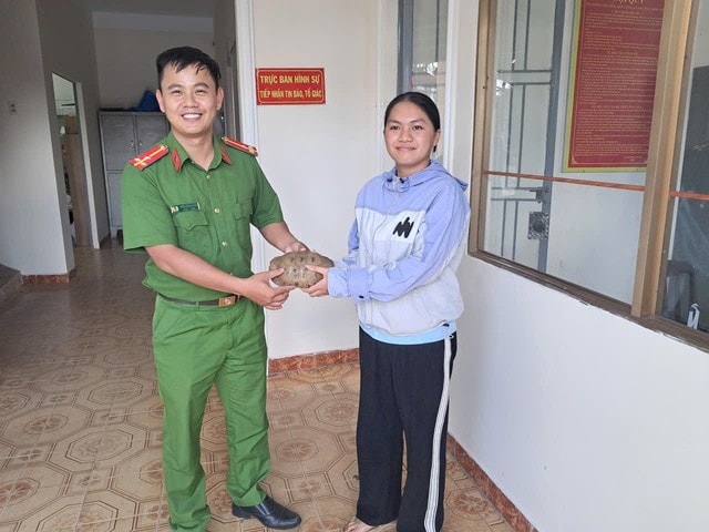 Phát hiện rùa núi vàng trong vườn, nữ sinh ở Lâm Đồng mang đến cơ quan công an- Ảnh 1. Phát hiện rùa núi vàng trong vườn, nữ sinh ở Lâm Đồng mang đến cơ quan công an- Ảnh 1.