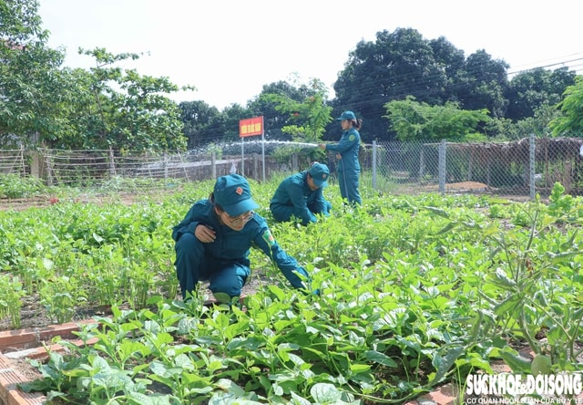 Những 'bóng hồng sao vuông' giỏi thao trường, đảm việc bếp núc- Ảnh 5. Những 'bóng hồng sao vuông' giỏi thao trường, đảm việc bếp núc- Ảnh 5.