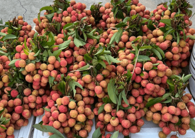 Tết Đoan Ngọ: Nhiều gia đình chọn mâm cúng tối giản, vừa đủ giữ nét truyền thống- Ảnh 6.
