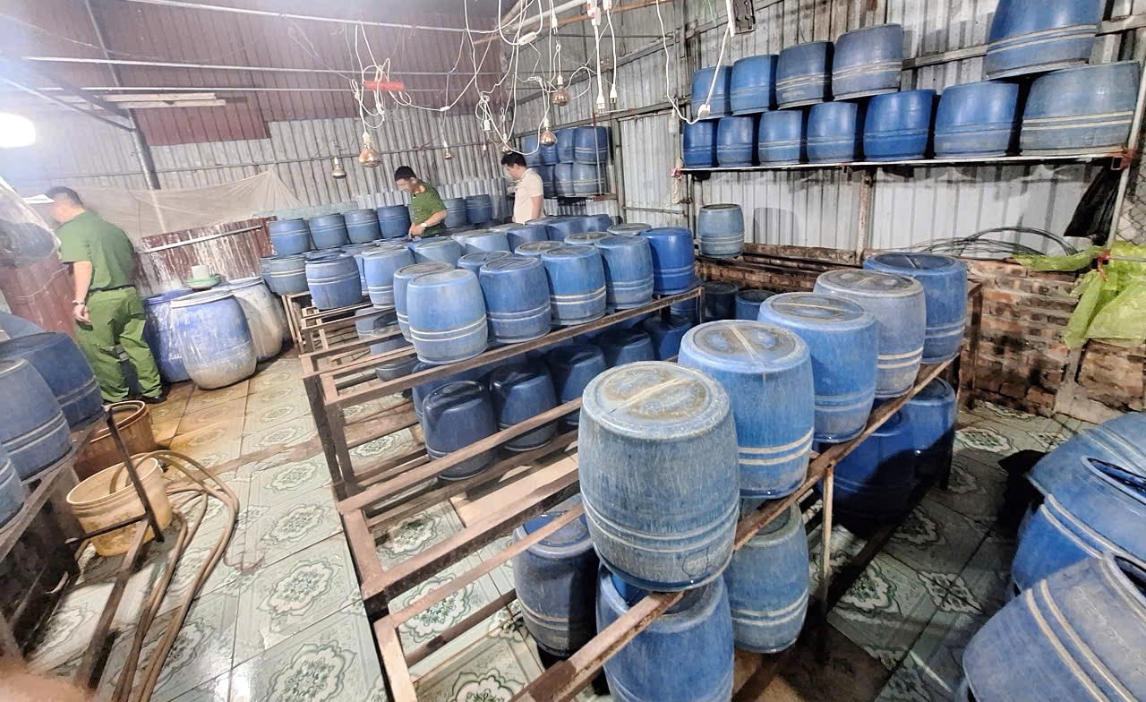 Sử dụng chất cấm để sản xuất giá đỗ, gã đàn ông bị khởi tố - Ảnh 1.