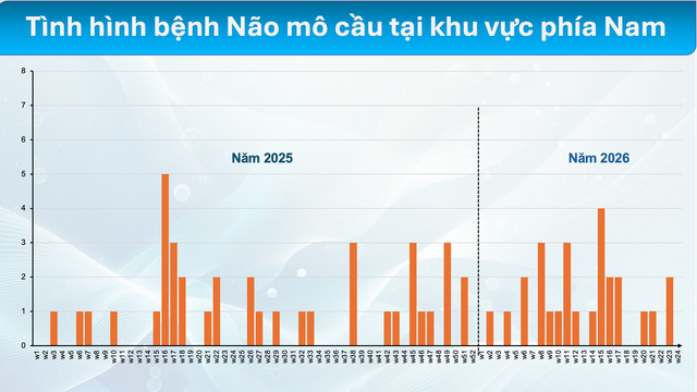 Chuyên gia cảnh báo não mô cầu gia tăng tại phía Nam, nguy cơ 'dịch chồng dịch' - Ảnh 2.