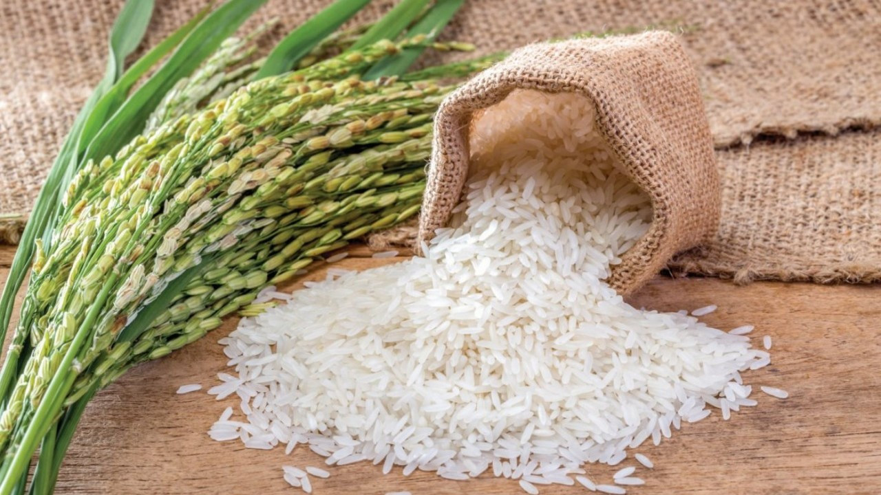Giá lúa gạo tại Đồng bằng sông Cửu Long duy trì ổn định ngày 27/06/2026