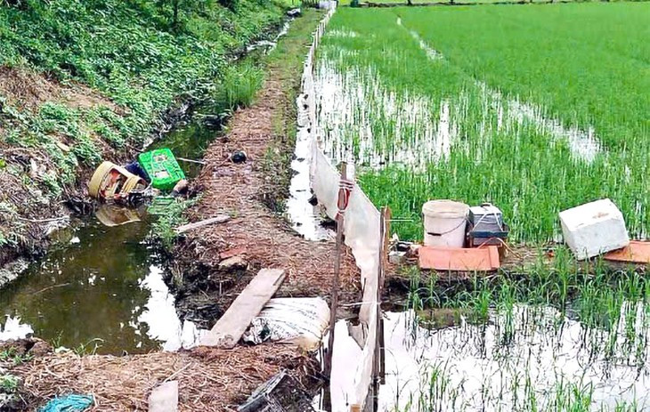 Dùng điện tự chế diệt chuột ruộng lúa, người chết, kẻ đi tù- Ảnh 1.